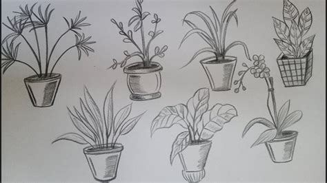 How To Draw House Plants Drawingpart 1easy Plant Drawingvels Art