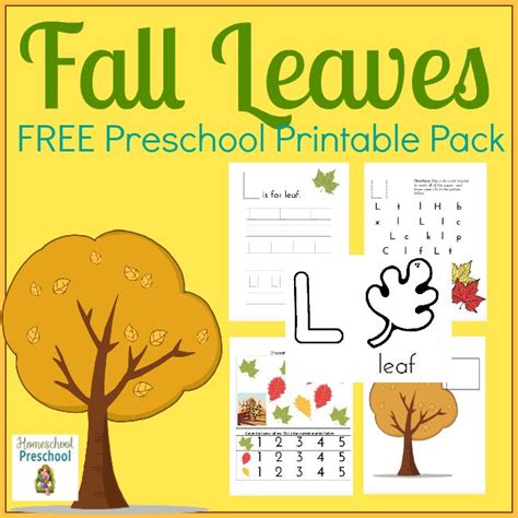 Free Fall Leaves Preschool Printables