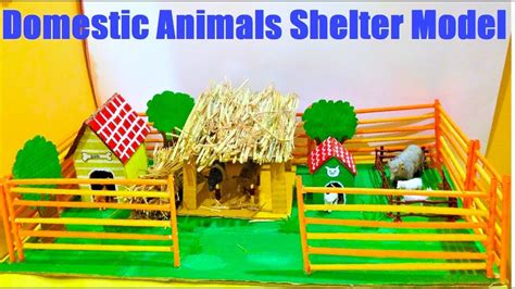 Domestic Animals Shelter Model Making Using Cardboard And Waste