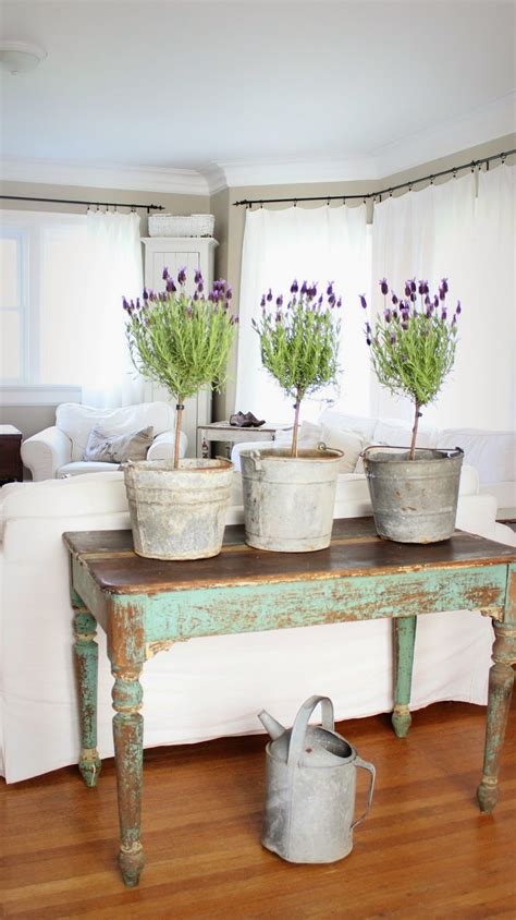 Brighten Your Day With Farmhouse Plant Decor Ideas And Diys The