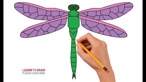 How To Draw A Dragonfly Step By Step Easy For Kids Youtube