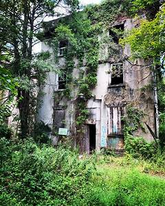 Exclusive Peek Into The Lives Of Burlington Countys Most Intriguing Recently Departed