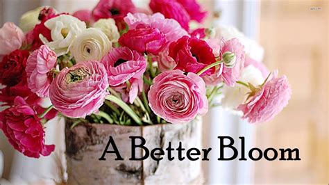 We apologize for any inconvenience. 405 309 3300 Edmond OK Florist Flower Shop A Better Bloom ...