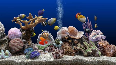 Free Aquarium Screensaver For Windows 10 4k Images And Photos Finder