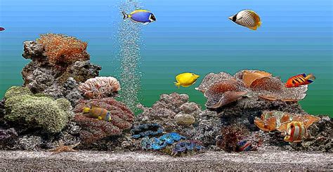 Best Aquarium Screensaver For Windows 7 Ffkse