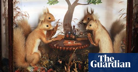 Magpies Squirrels And Thieves By Jacqueline Yallop Review Books