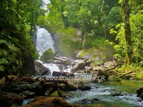 Waterfall In Corcovado National Park Costa Rica Photos