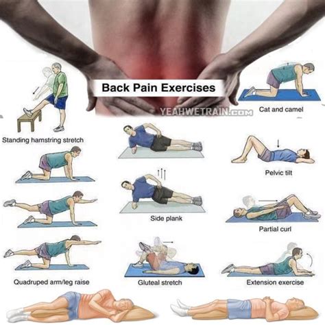 Back Pain Exercises Healthy Back Workout Training Lower Higher