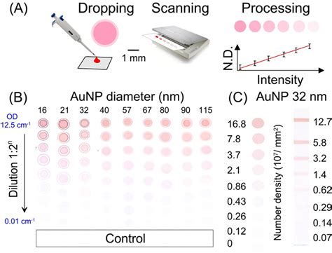 Quantifying The Numbers Of Gold Nanoparticles In The Test Zone Of Lateral Flow Immunoassay