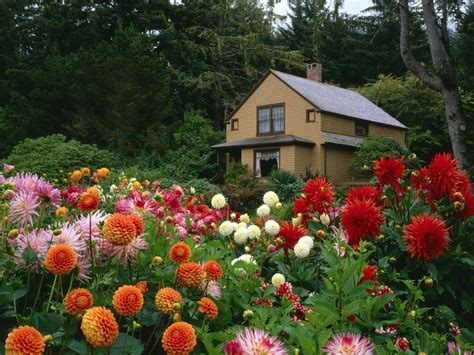 House Surrounded By Beautiful Garden