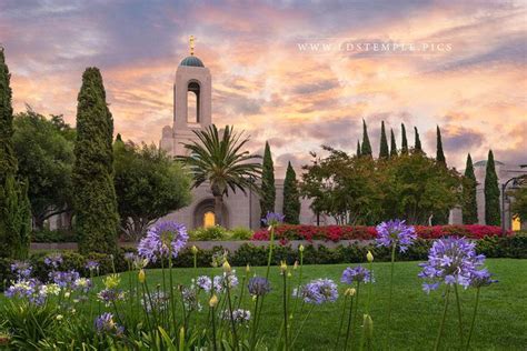 They are known for their fine arrangements, with unique. Newport Beach Temple Summer Flowers - LDS Temple Pictures ...