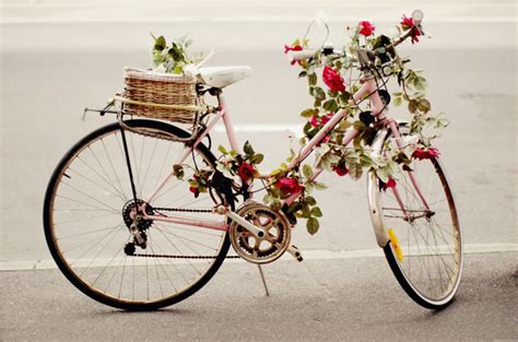 Pretty Awesome City Bike Flower Pretty Bicycle Pink Bicycle Bicycle