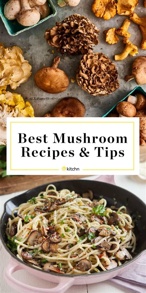 Our Best Mushroom Recipes, Ideas, and Tips | Kitchn