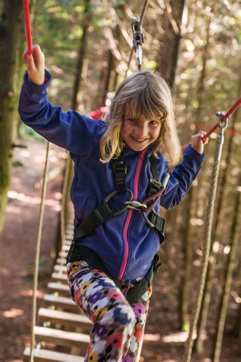 Kids Go Wild In The Trees An Adventure Day For The Kids Tamar