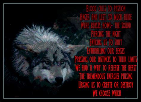 Pin By Kristen Fay On Wolves Wolf Quotes Alpha Male Dog Life