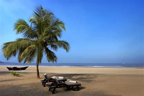Top 5 Beach Resorts In Goa Zalinekor