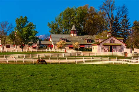 Calumet Farm Thoroughbred Horse Farm Lexington Kentucky Usa