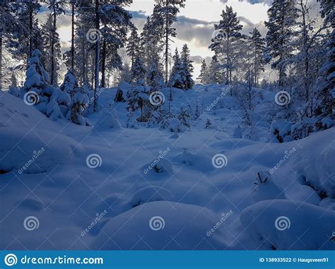 Winter Wonderland In Hedmark County Norway Stock Photo