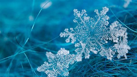 Snowflakes Wallpapers Wallpaper Cave