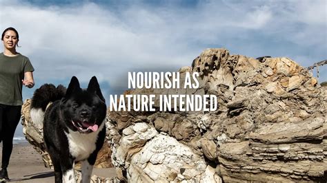 Nature's logic offers comparable dry dog food recipes at an average cost of $3.00 per pound. Orijen Dog Food - Nourish As Nature Intended - YouTube