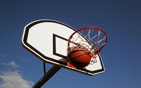 This is a main category requiring frequent diffusion and maybe maintenance.as many pictures and media files as possible should be moved into appropriate subcategories. Cesto de basquetebol HD | FundosWiki.com