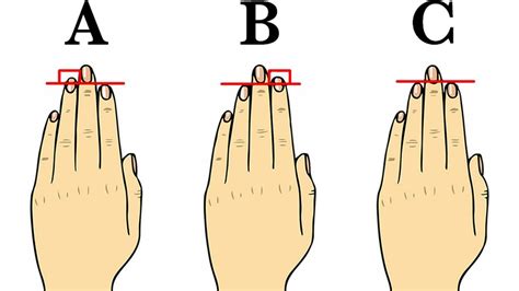 Find Out What Your Finger Length Reveals About Your Personality Youtube