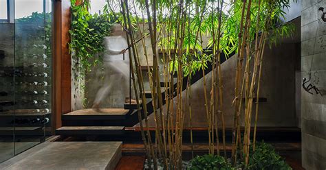 Trevor Mcivor Architect Organizes Petaluma House Around Bamboo Filled