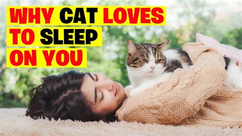 9 Reasons Why Your Cat Loves To Sleep On Youwhy Cats Sleep On Humans