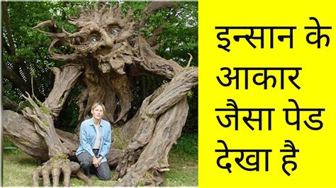 Very solidly built with a great design. tree man in india,human tree, tree look like trees from ...