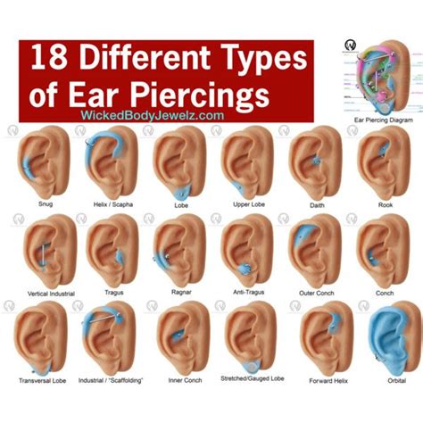 Ear Piercing Types And Meanings