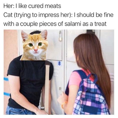 Can cats eat honeydew melon? Funny 'Cats Can Have a Little Salami' Memes PURRRfect for ...