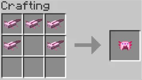 Crafting Axolotl Armor In Minecraft Pe Youtube