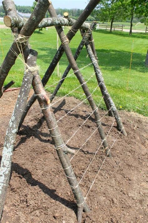 Check spelling or type a new query. How to build a snap pea trellis fort for kids this summer ...