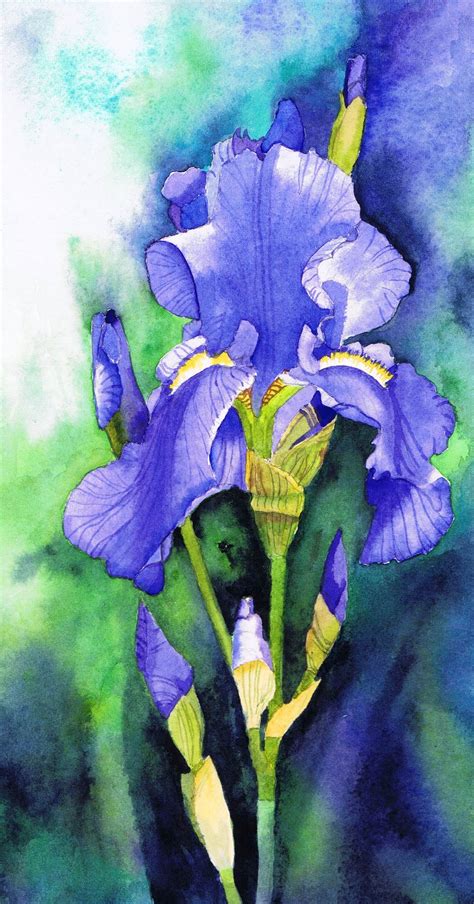 Blue Iris By Watercolour Painting By Julie Horner Uk Artist Flower