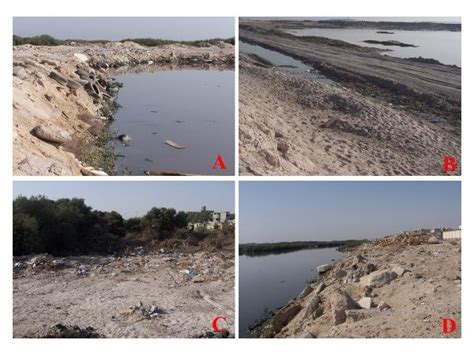 Degradation And Pollution Of The Arabian Gulf Coastal Environment