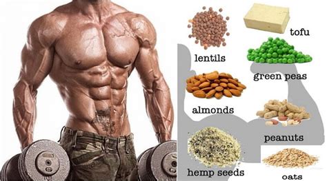 Top 20 Muscle Building Tips For Vegetarian Become A Muscular