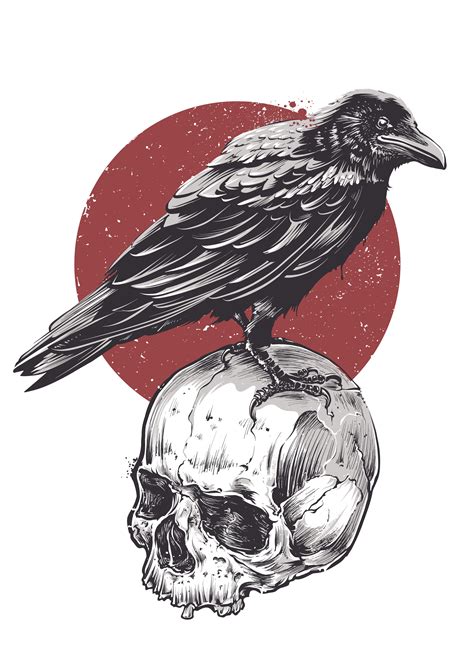 Raven On Skull 338376 Vector Art At Vecteezy