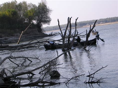 Pescuitul Pe Dunare Dunare Facaieni