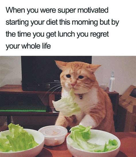 28 Funny Memes On Diet Factory Memes