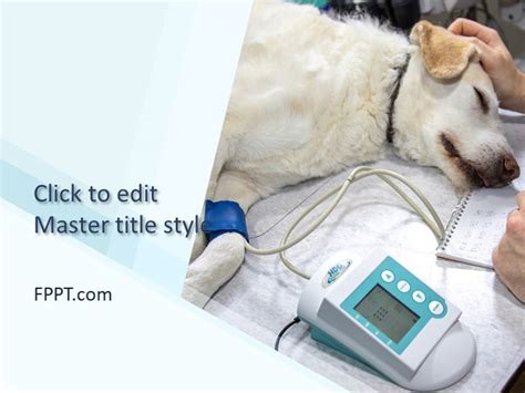 Free Veterinary Clinic Powerpoint Template Free Powerpoint Templates