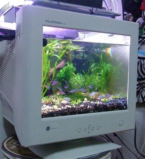Old Computer To Aquarium Aquarium Fish Tank Old Computers