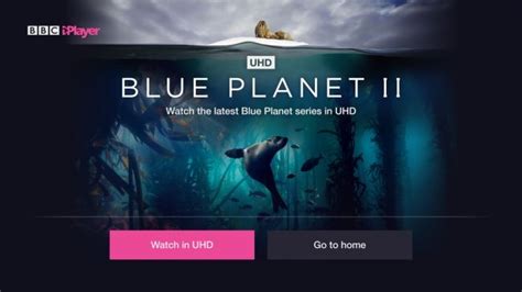 Blue Planet 2 Will Be Available In 4k Hdr For The First Time On Bbc