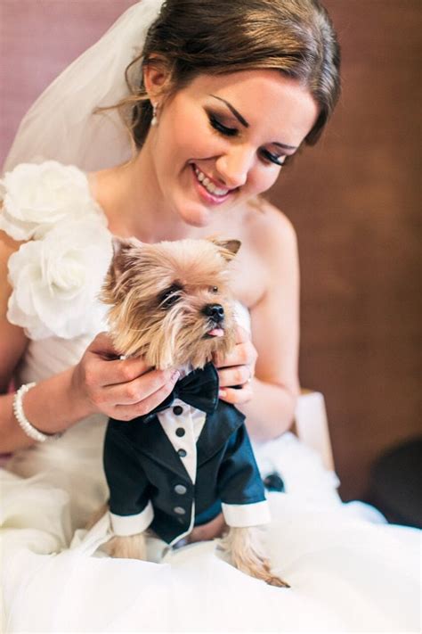 12 Adorable Pieces Of Dog Wedding Attire Classy Canine Clothing