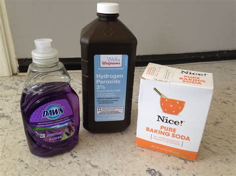 If handled carefully, it will hopefully not spray. How Do You Keep A Skunk From Smelling. How to Keep Skunks ...