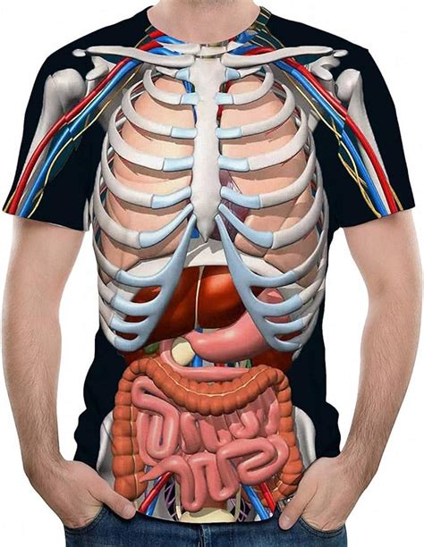 Diagram Rib Cage With Organs Illustration Human Chest Ribs And Organs Vrogue