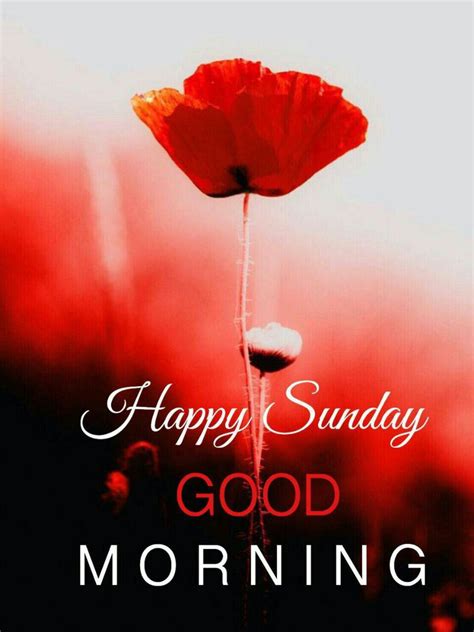 Pin By Bhavana Kaparthy On Wishes Happy Sunday Images Sunday