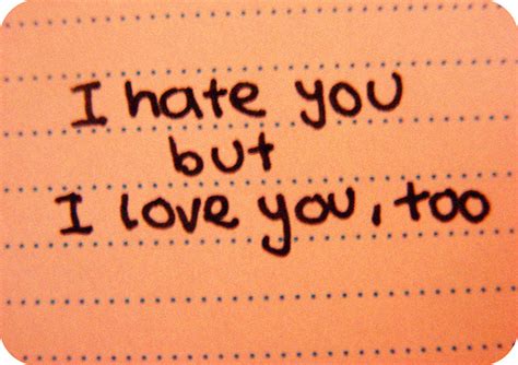 Photo Explanations I Hate You But I Love You