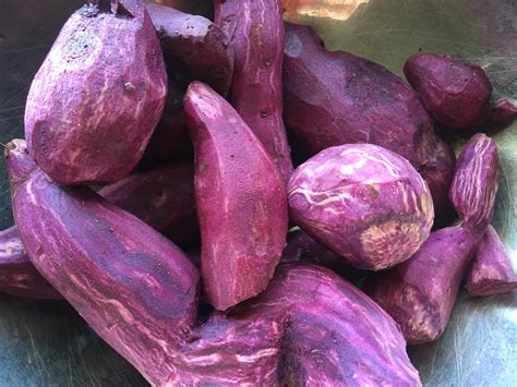 Purple Sweet Potatoes From Our Garden I Bought 3 Tiny Plants About A