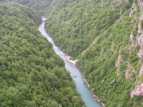 Drina je rijeka u istočnoj bosni i hercegovini koja svojim donjim tokom čini prirodnu granicu između bosne i hercegovine i srbije. File:Kanjon Tare (2006).jpg - Wikimedia Commons