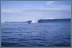  Panama Surf Island Surfer Paradise Panama Surf Campsurf